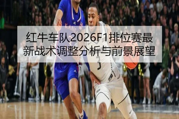 hong-niu-che-dui-pai-wei-sai-zui-xin-zhan-shu-tiao-zheng-fen-xi-yu-qian-jing-zhan-wang-2-744.jpg